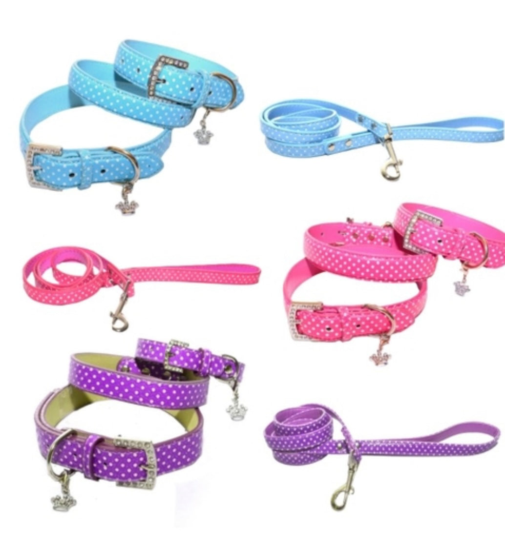 Collars & Leads