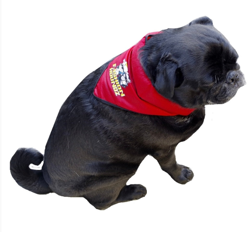 Cooling Bandanas