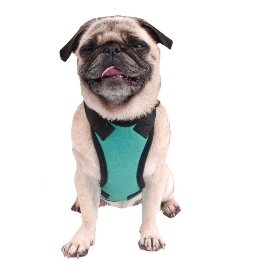 Harnesses
