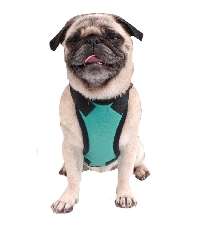 Harnesses