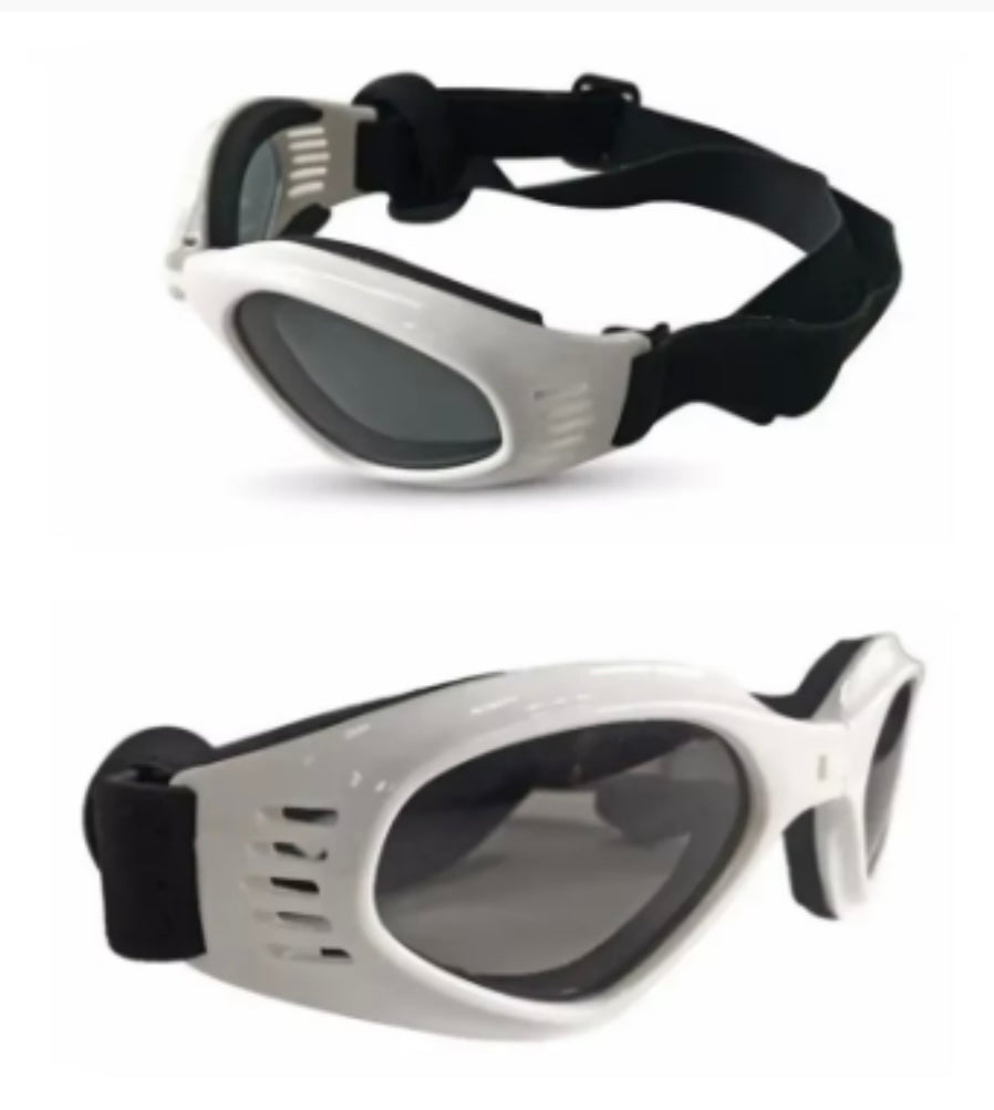 Goggles Sunglasses