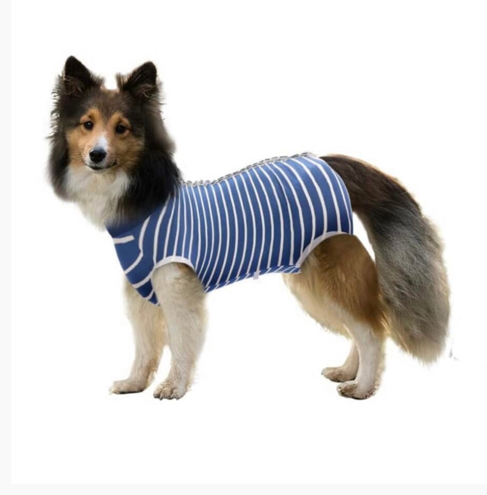 Dog Medical Recovery Jumpsuit Stripes