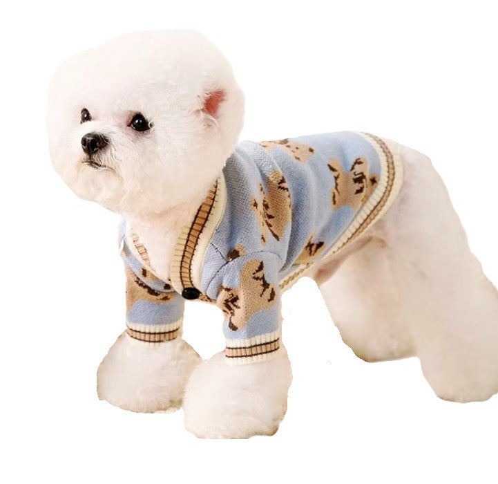 Cardigan Teddy Bear