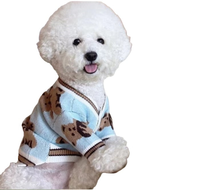 Cardigan Teddy Bear