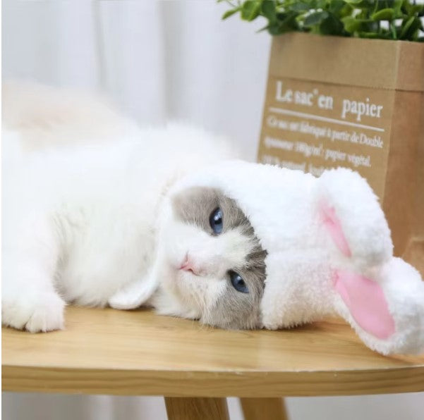 Bunny Ears