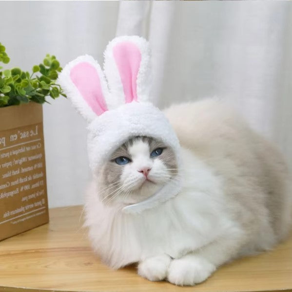 Bunny Ears