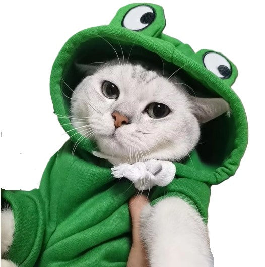 Hoodie Green Frog