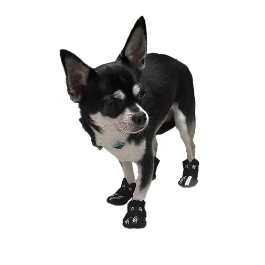 Small Paw Non-Skid Black Slipper Shoes