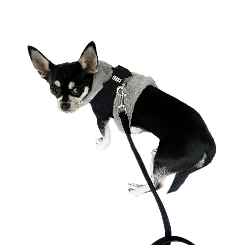 Harness Fur Trim with Lead