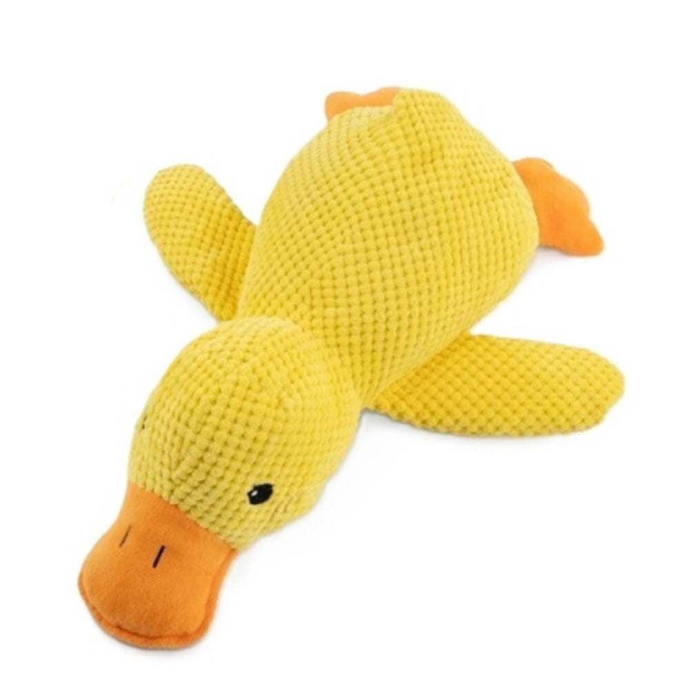 Yellow plush dog toy duck on a white background
