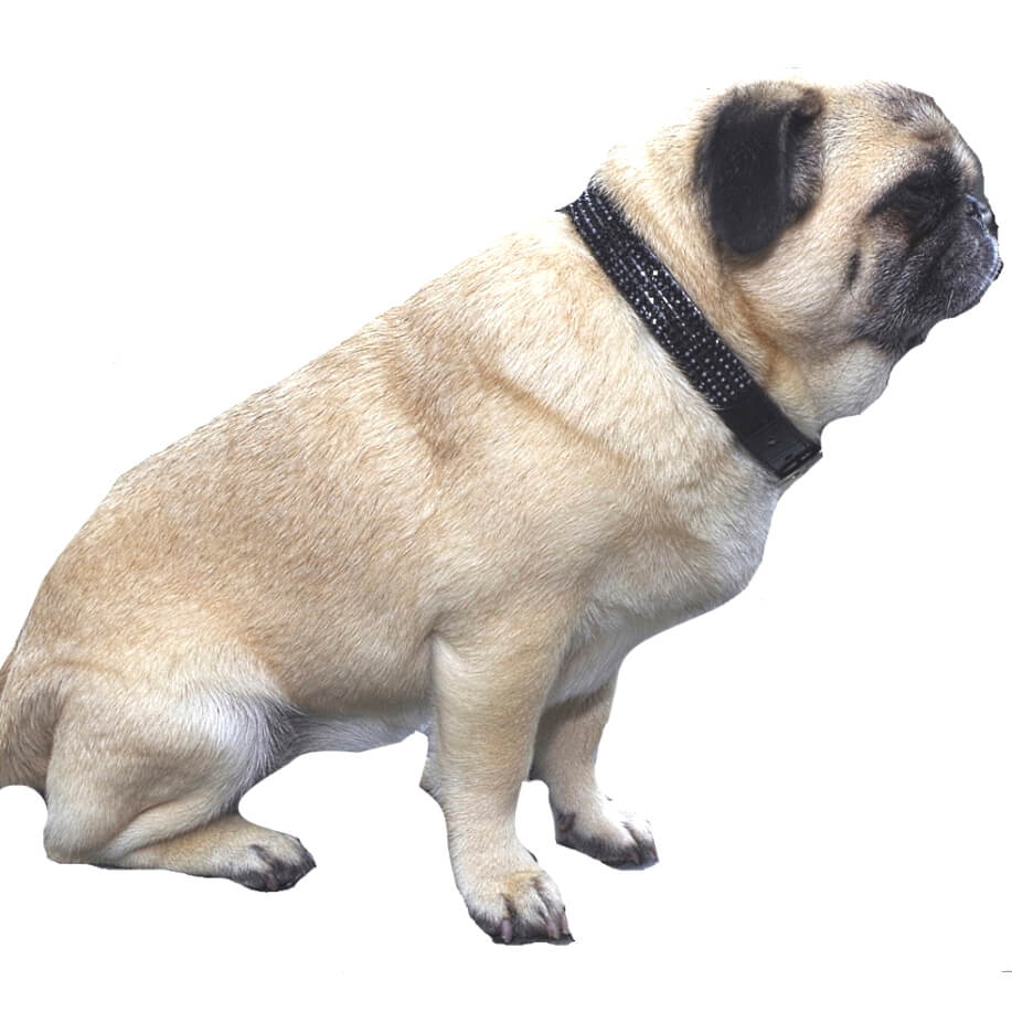 Collar Black Diamante