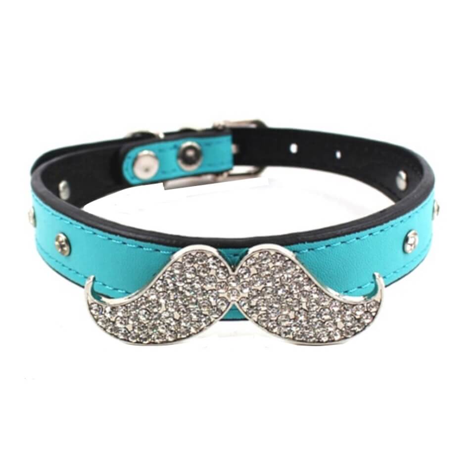 Turquoise dog collar with a decorative silver mustache charm on a white background