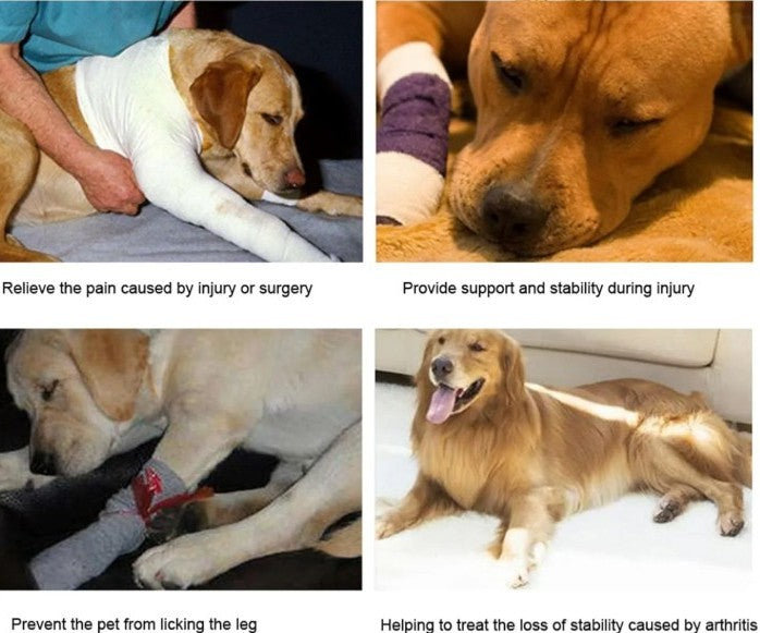 Collage of dogs with bandages and casts, showing their use for injury or surgery relief.