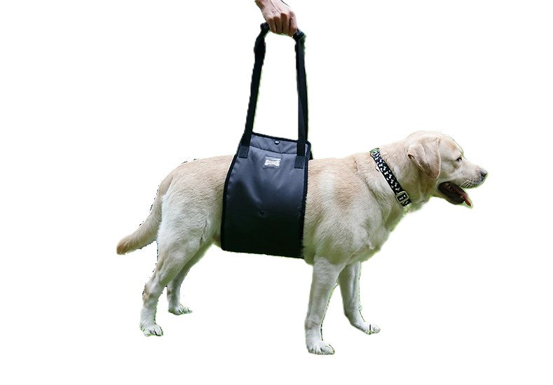 Dog wearing a black sling on a white background
