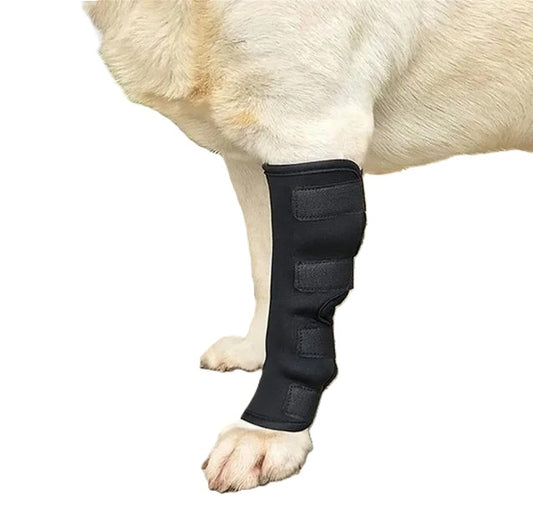 Long Leg Knee Support Single