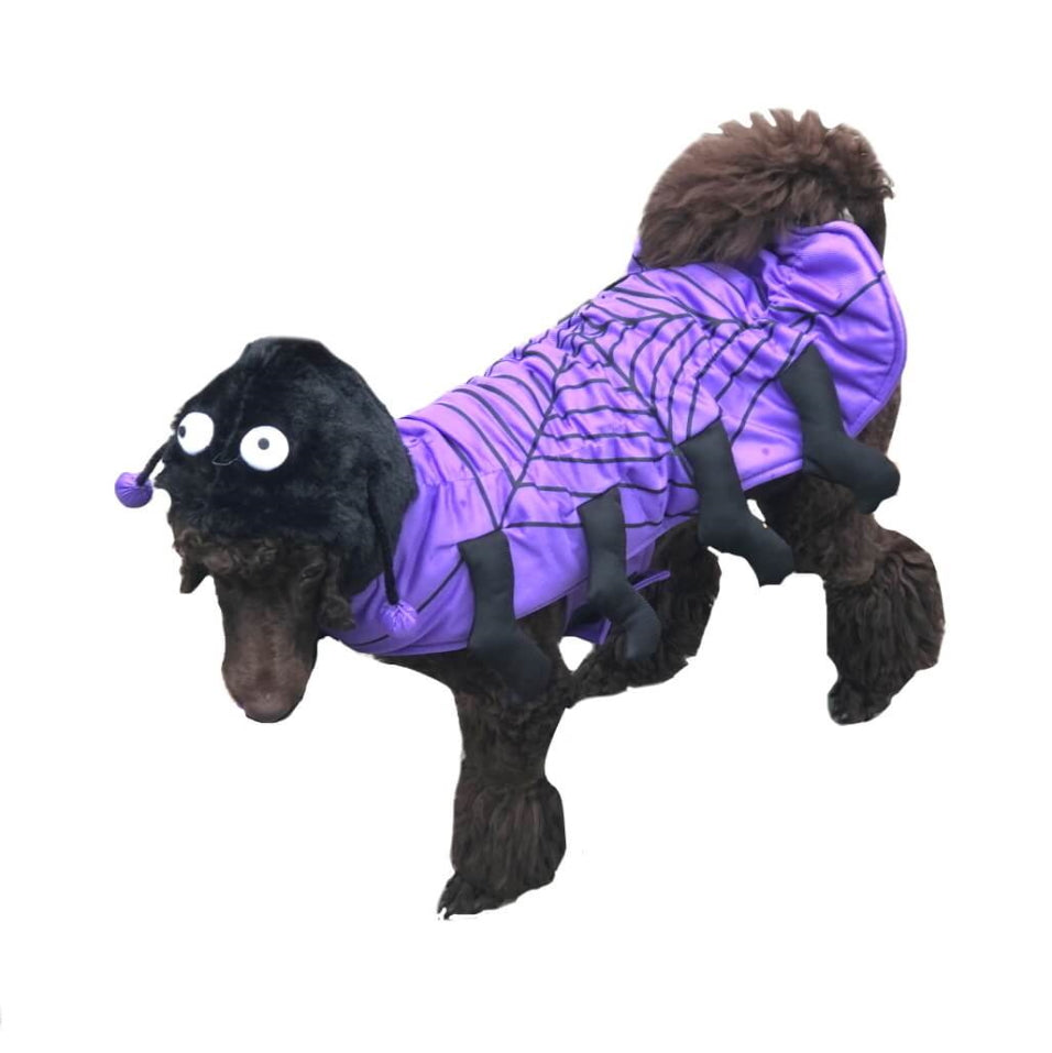 Dress Up Costume Spider