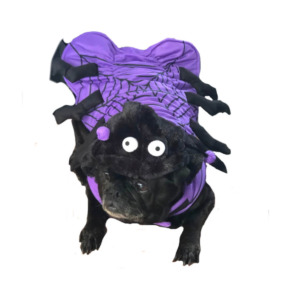 Dress Up Costume Spider