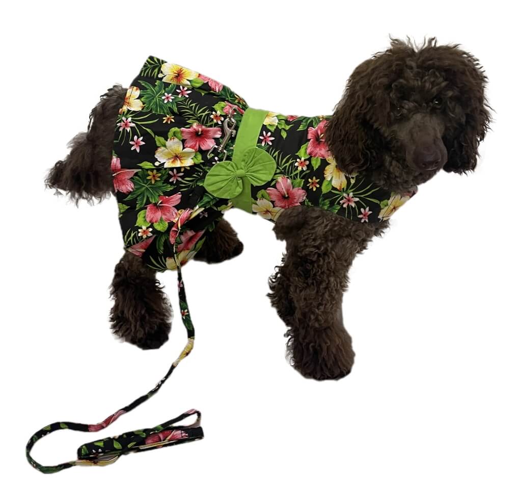 Dress Black Hawaiian Hibiscus with Matching Lead
