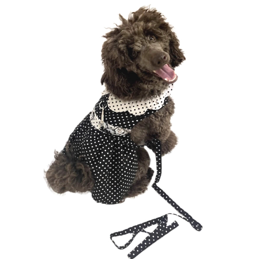 Dress Black Polka Dot with Matching Lead