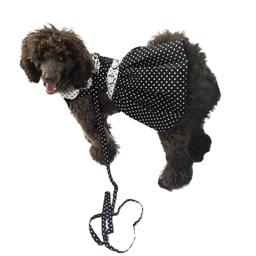 Dress Black Polka Dot with Matching Lead