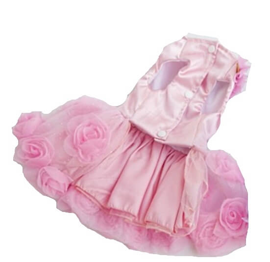 Pink dog dress with floral details on a white background