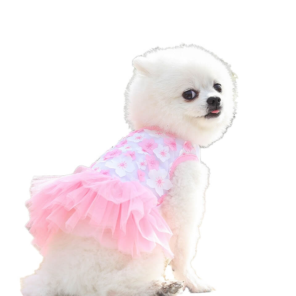 Dress Pansy Tutu