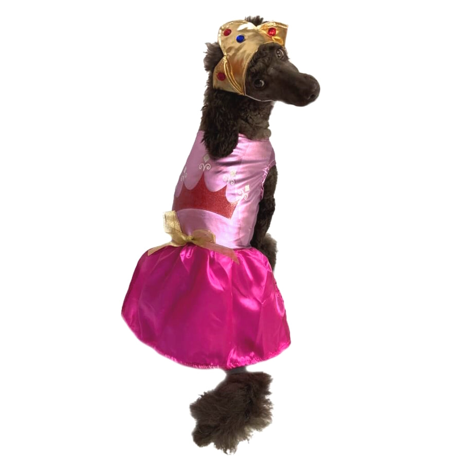 Dress Pink Princess with Crown