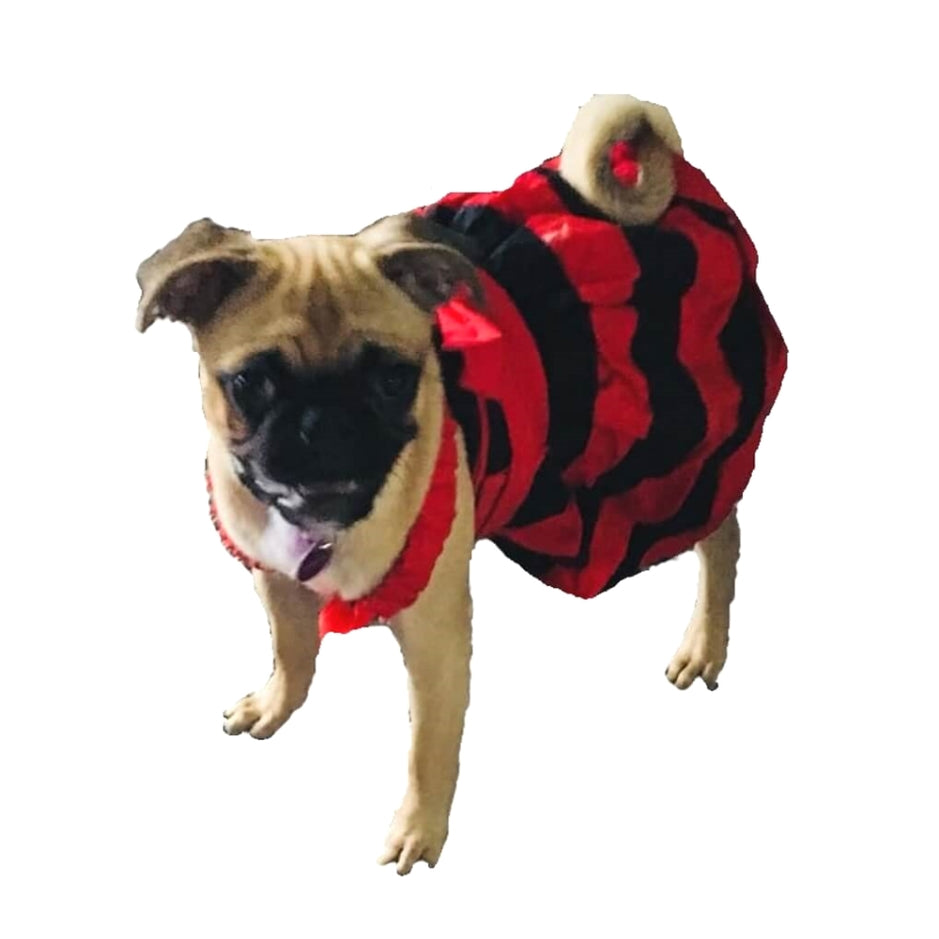 Dress Designer Red Stripe