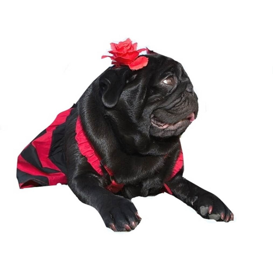 Dress Designer Red Stripe