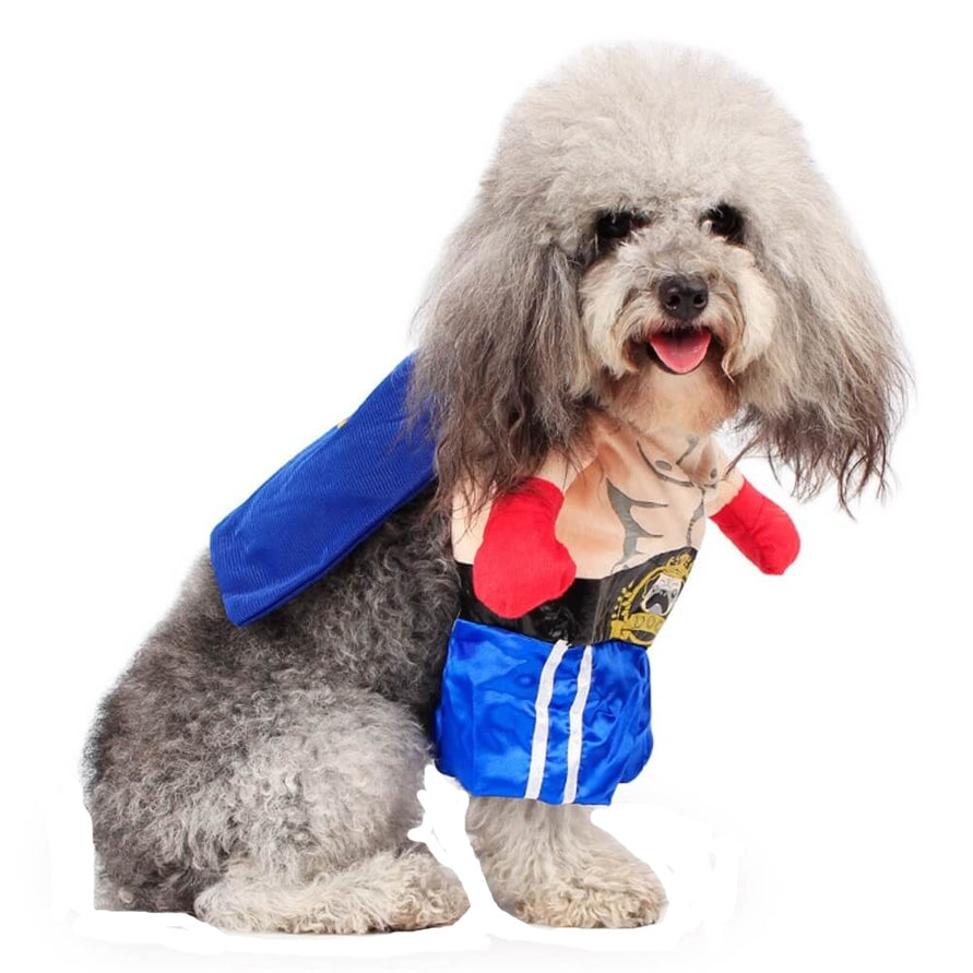 Dress Up Costume Rocky the Boxer