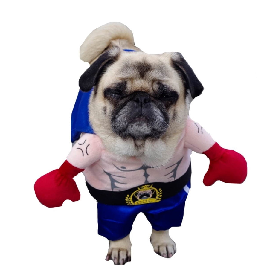 Dress Up Costume Rocky the Boxer