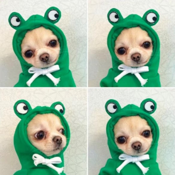 Hoodie Green Frog