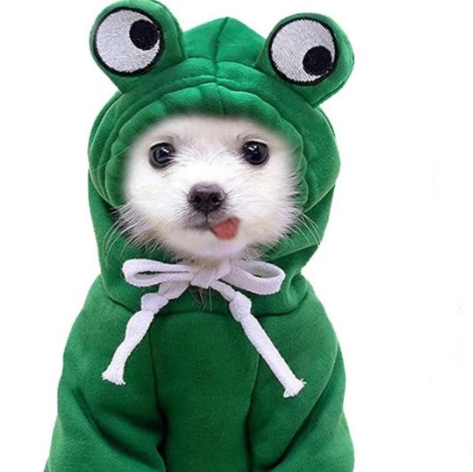 Hoodie Green Frog
