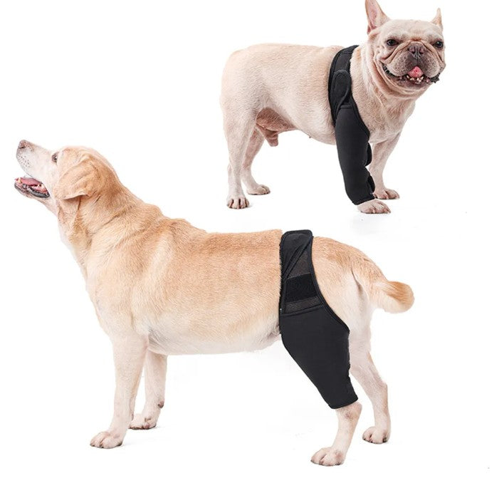 Knee Support with Band two dogs
