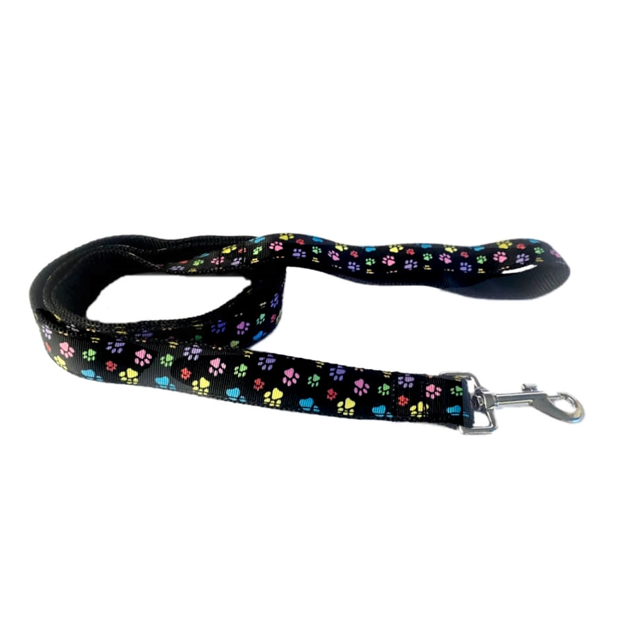 Luxury Collar or Lead Webbed Colourful Paws