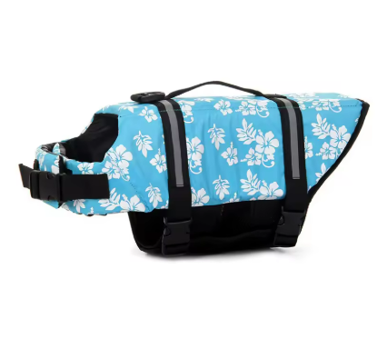 Life Jacket