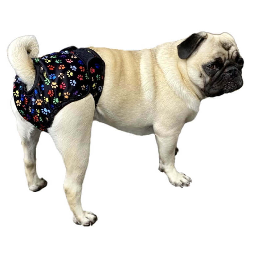 Sanitary Pants Colourful Paws