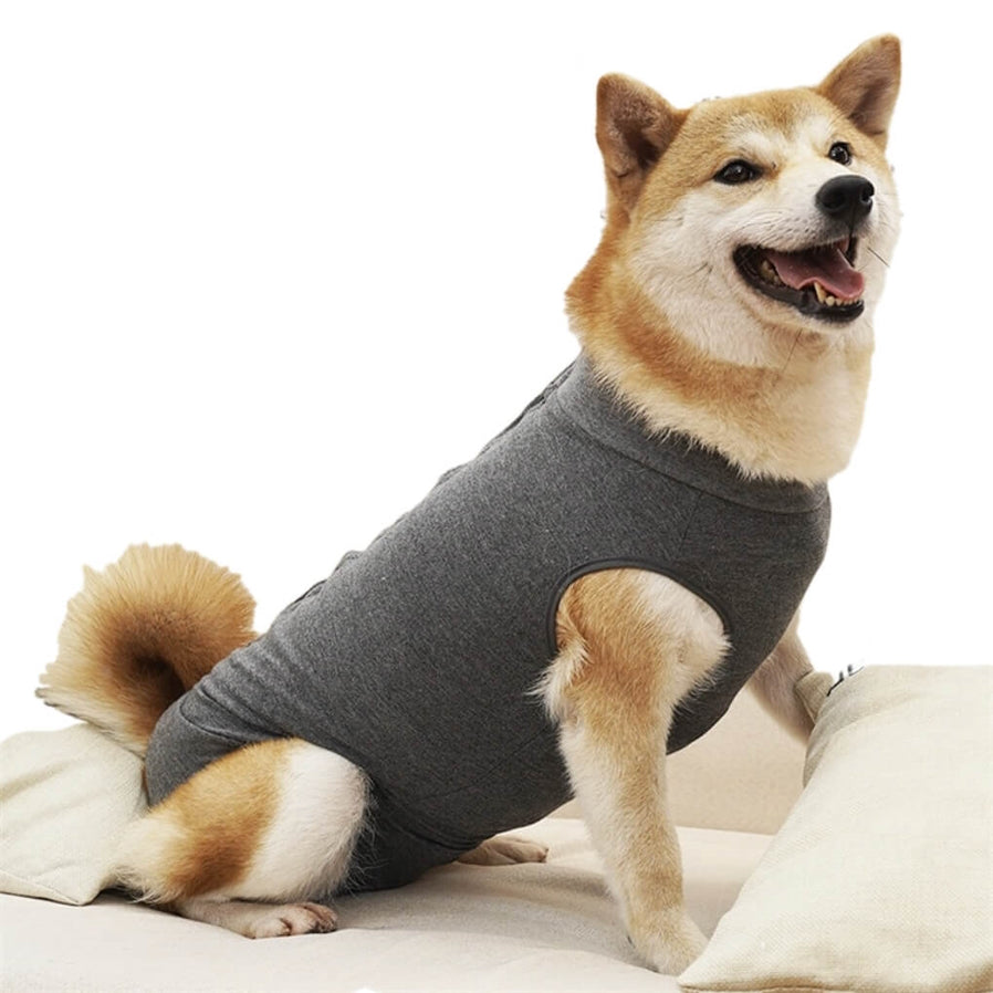 Dog Medical Recovery Jumpsuit Grey
