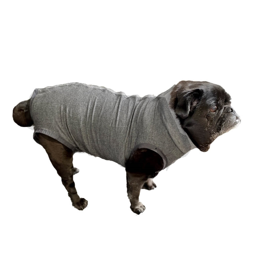 Dog Medical Recovery Jumpsuit Grey