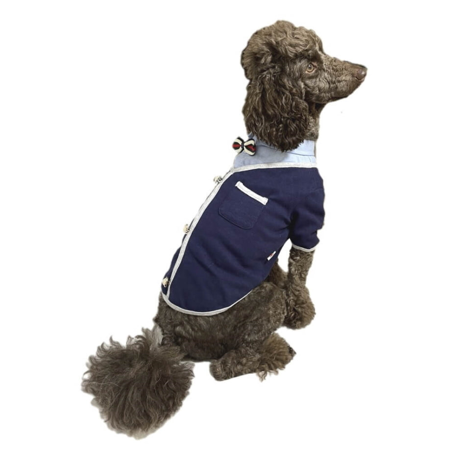 Shirt Blue Preppy with Jacket and Bowtie