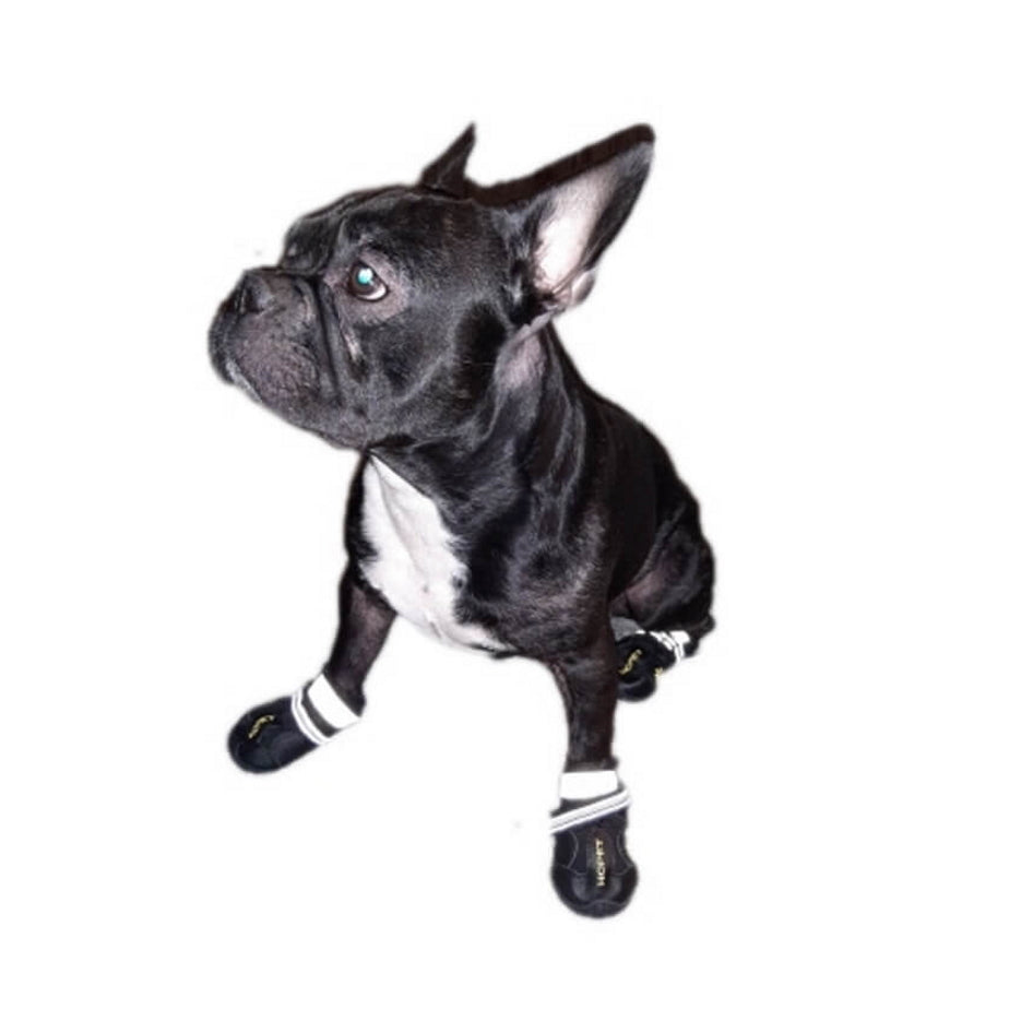 Black French Bulldog wearing a white bandana on a white background