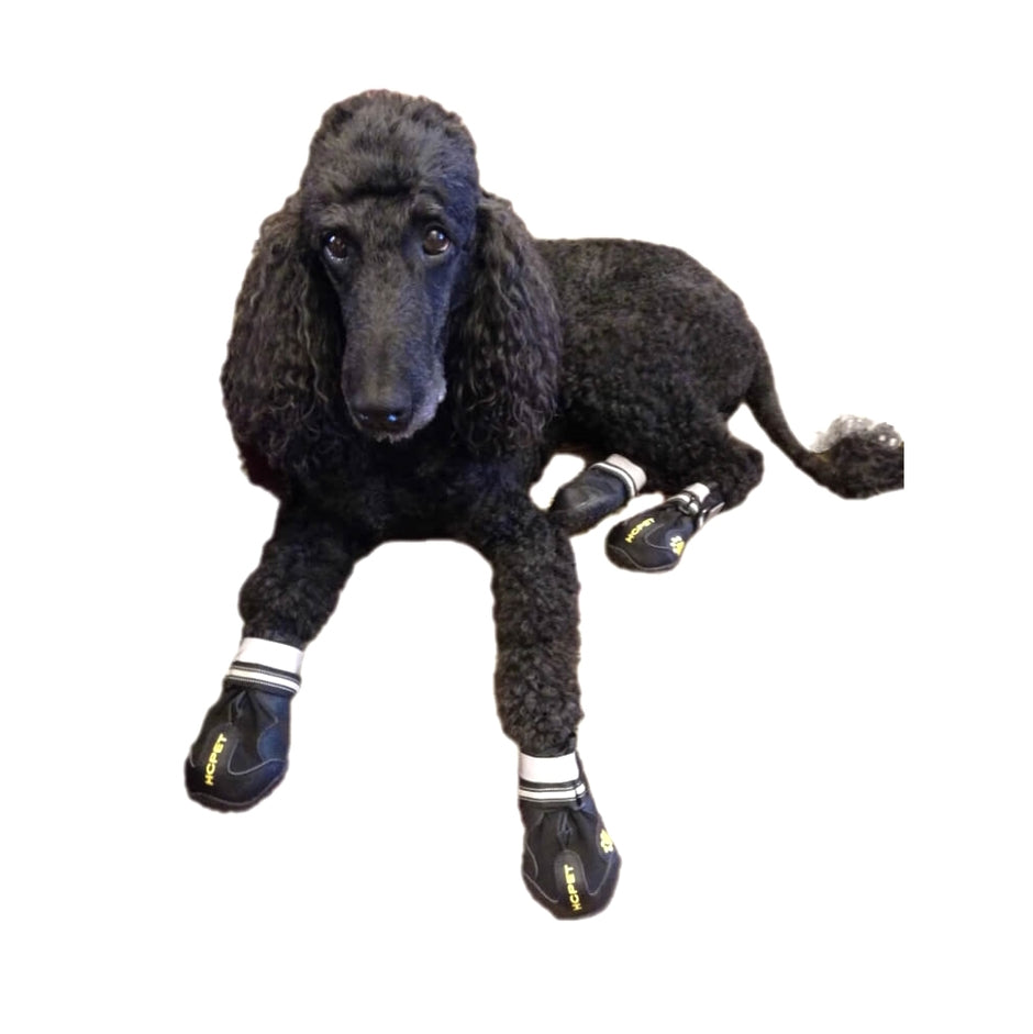 Black poodle toy with socks on a white background