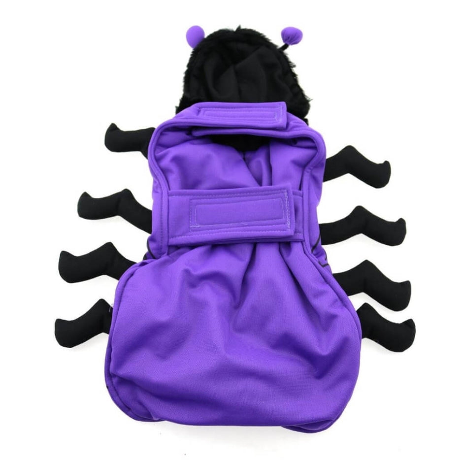 Dress Up Costume Spider