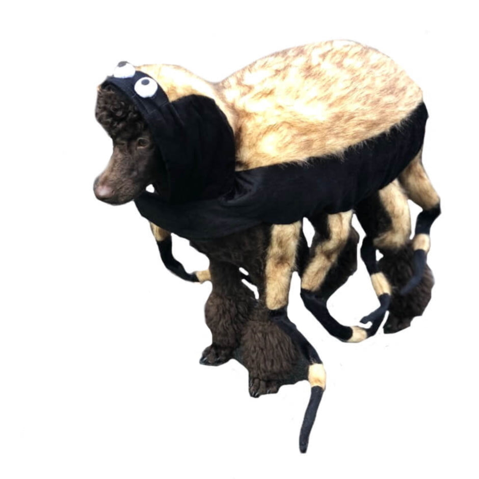 Dress Up Costume Tarantula Spider