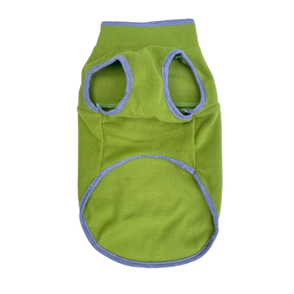 Green pet sweater with gray trim on a white background