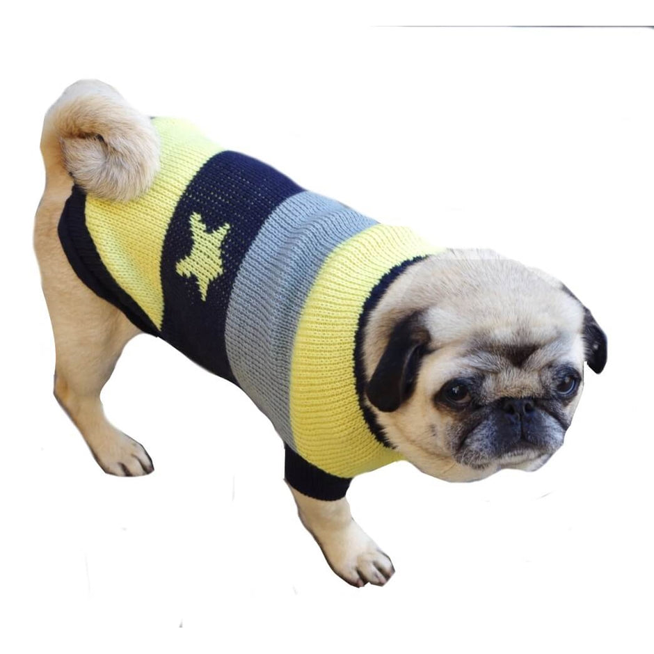 Sweater Stars and Stripes