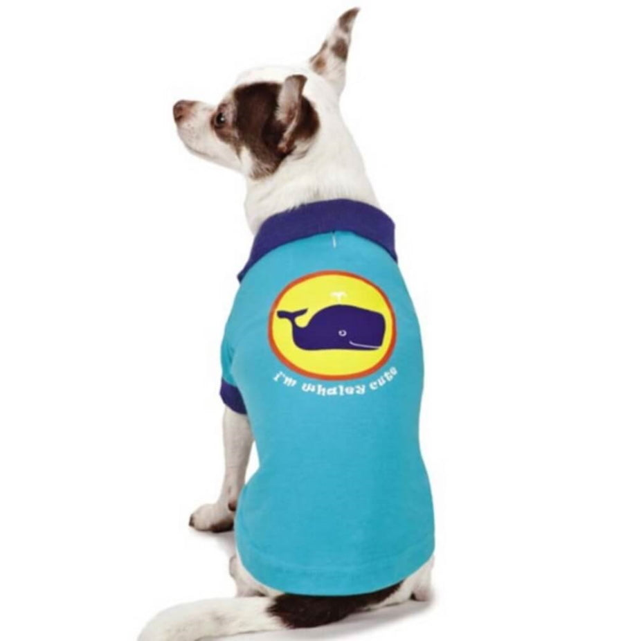 Dog wearing a blue shirt with a whale design on a white background