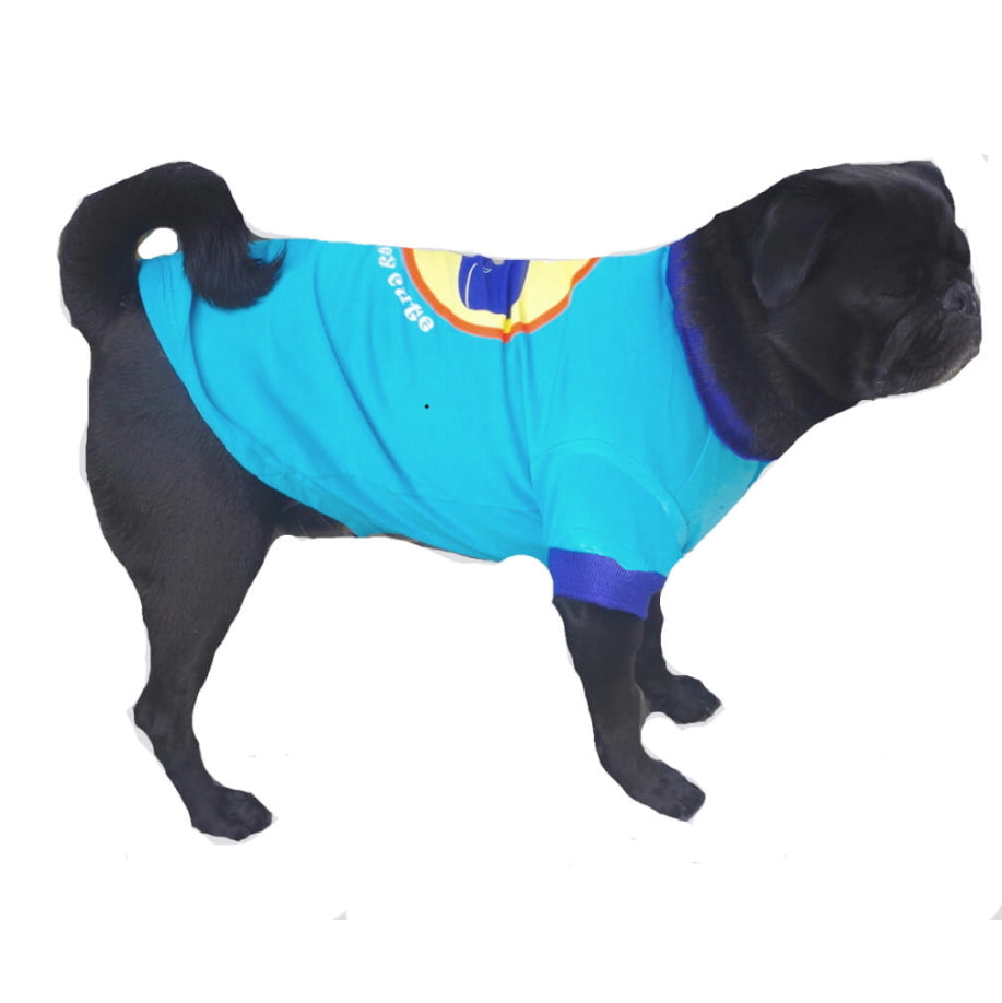 Dog wearing a blue sweater with a colorful logo on a white background