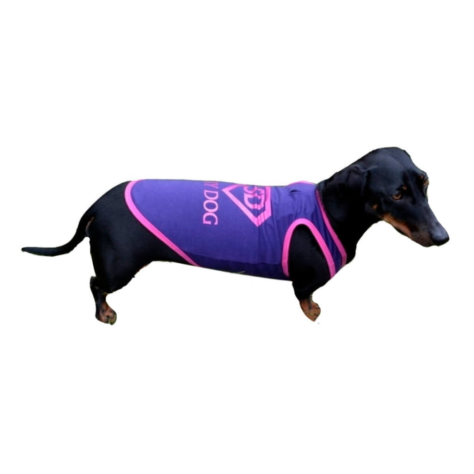 Shirt Purple Sexy Dog