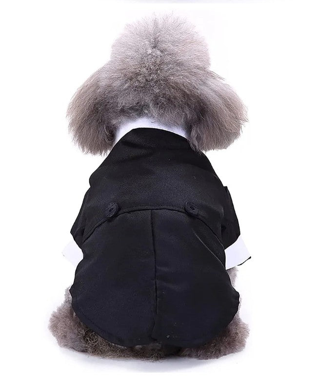 Tuxedo Shirt Black Jacket and Bowtie